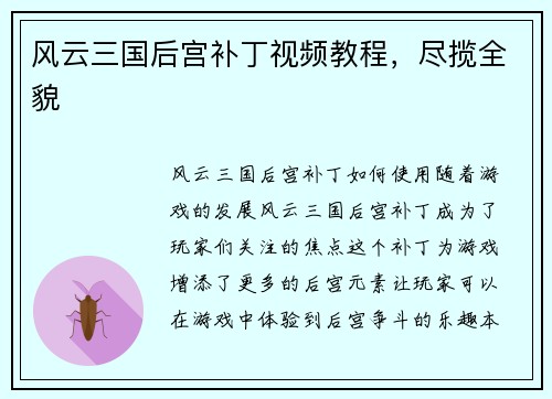 风云三国后宫补丁视频教程，尽揽全貌